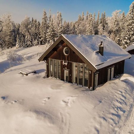 Ottsjoe-Are Lodge エクステリア 写真