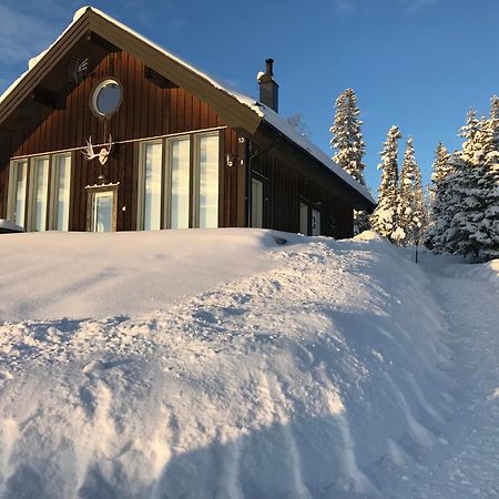 Ottsjoe-Are Lodge エクステリア 写真